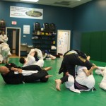 Quick Notes on (Jiu-Jitsu) Note-Taking - by Tracy